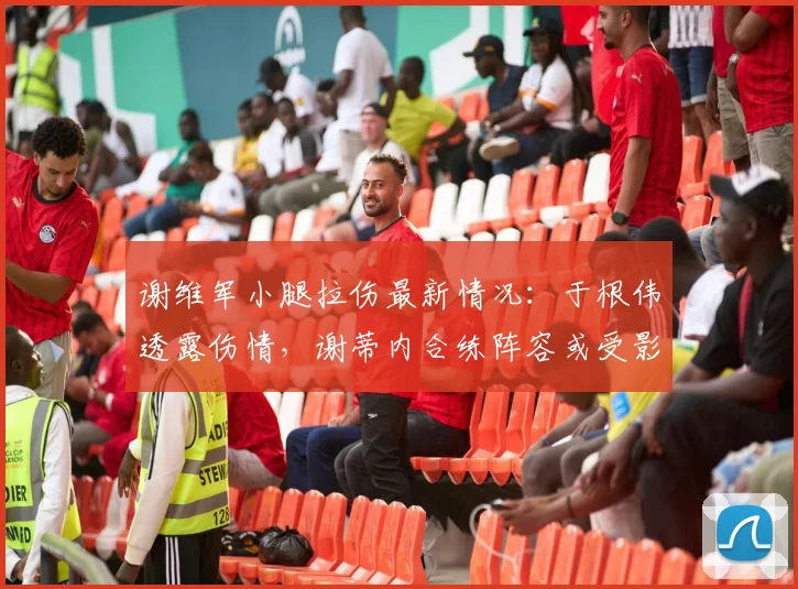 谢维军小腿拉伤最新情况：于根伟透露伤情，谢蒂内合练阵容或受影响