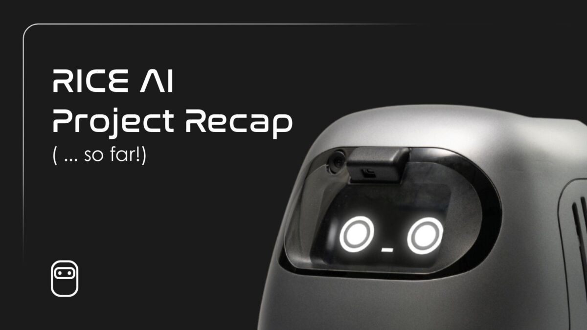 RICE AI Project Recap