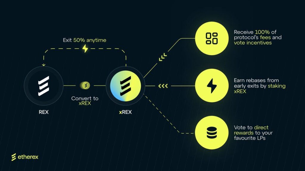 how Etherex works