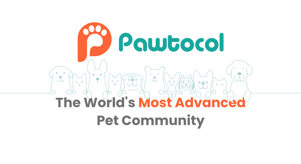 全球最先进的宠物社区 Pawtocol 现已登陆 MEXC