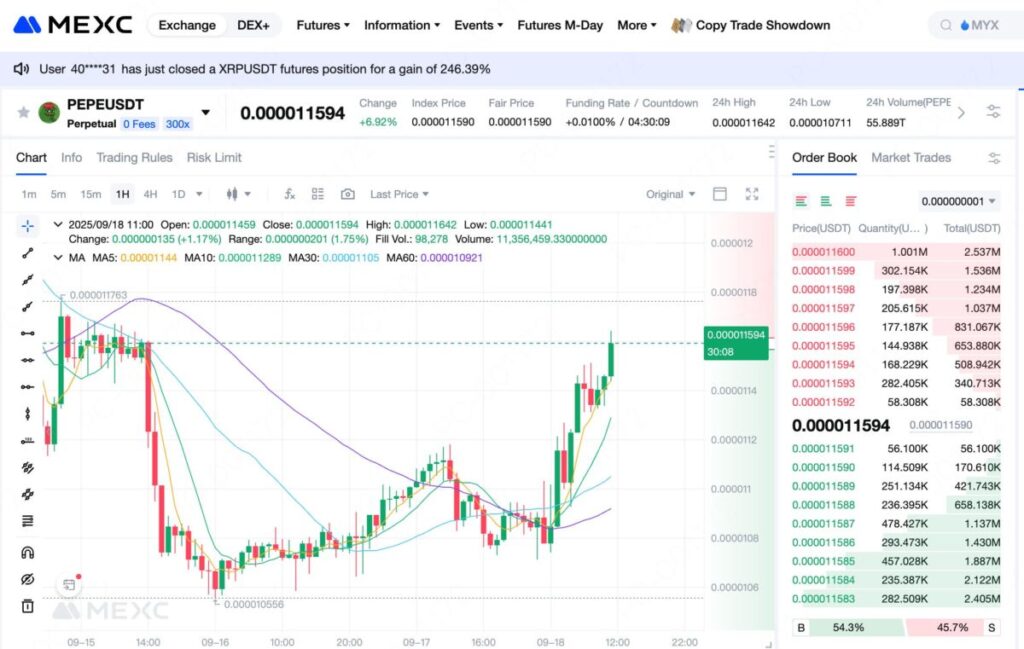 PEPE突破至$0.000011：技术突破和社区热潮能否保持快速致富的故事？